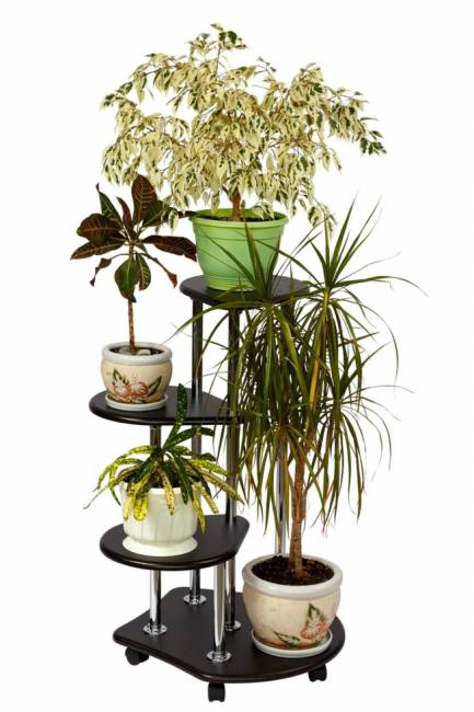 Подставка Калифорния Троечка, венге Подставка Калифорния Троечка, венге