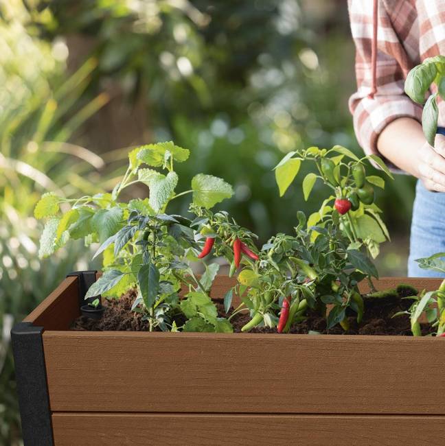 Готовая грядка Дарвин (Darwin elevated Garden Bed Pro) коричневый Готовая грядка Дарвин (Darwin elevated Garden Bed Pro) коричневый