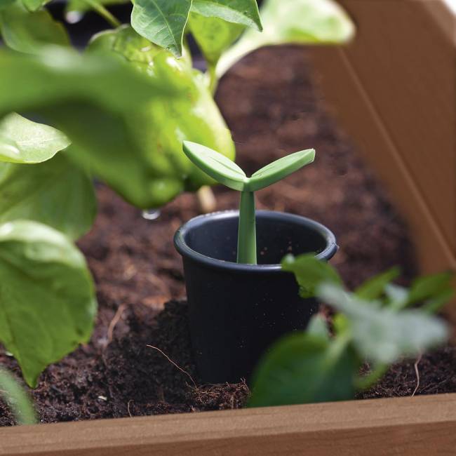 Готовая грядка Дарвин (Darwin elevated Garden Bed Pro) коричневый Готовая грядка Дарвин (Darwin elevated Garden Bed Pro) коричневый